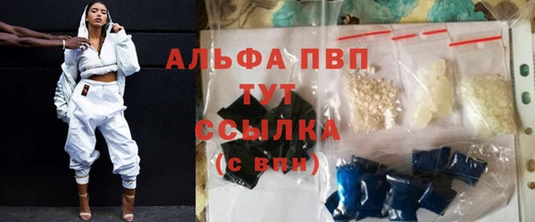 первитин Богданович