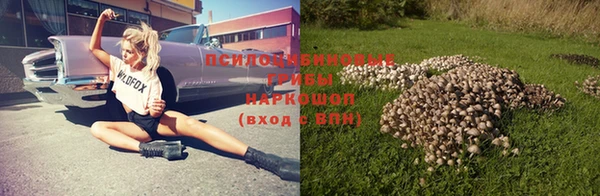 дживик Белокуриха