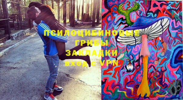 дживик Белокуриха