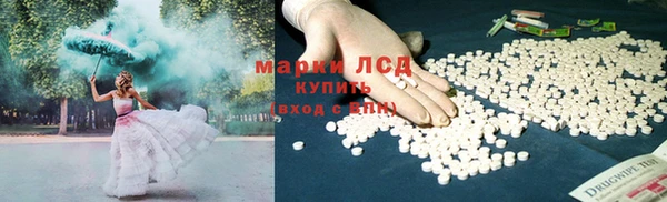 первитин Богданович