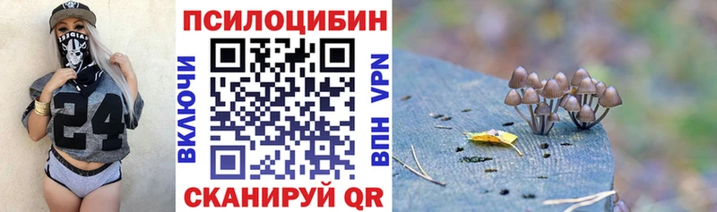 Псилоцибиновые грибы мухоморы  блэк спрут ТОР  Белореченск 